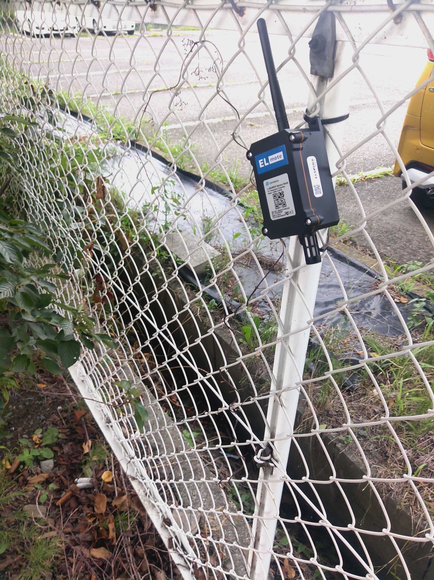 LoRaWAN対応 屋外温湿度センサー LSN50v2-S31B（Dragino社製、技適取得済み）